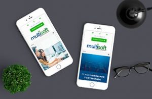 Multisoft1